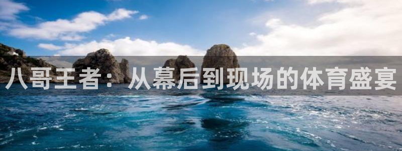 八哥王者：从幕后到现场的体育盛宴